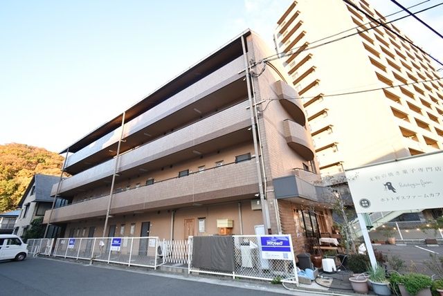 マイヨールの外観画像