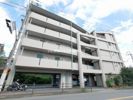 ORG003の外観画像
