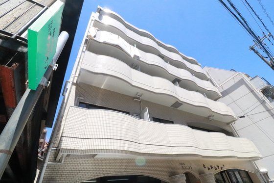 シャトレ・サンニコラの外観画像
