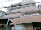 インターナショナル城東の外観画像