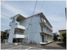クローバーズマンション ベルツリーの外観画像