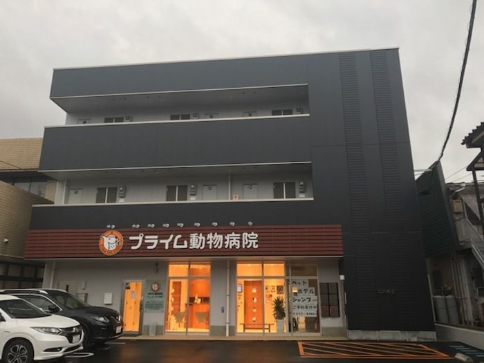 コスモ5203の外観画像