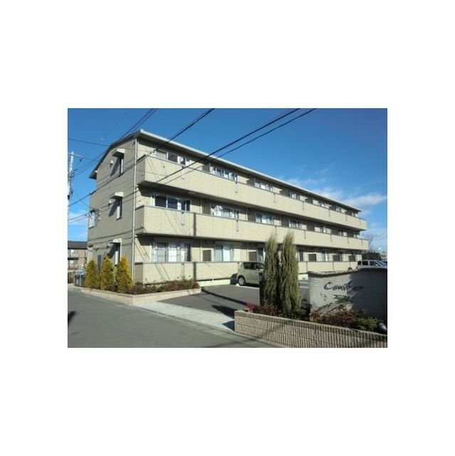coniferの外観画像