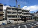 ジュネス市川の外観画像