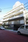 フロレスタアヤメの外観画像