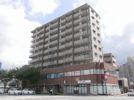 アンビエンテ大橋の外観画像