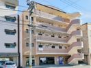 第10成田マンションの外観画像