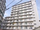 森岡ハイツの外観画像