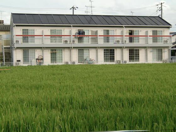 サンシャイン大安寺の外観画像