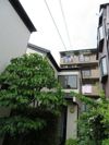カーサ西蒲田の外観画像