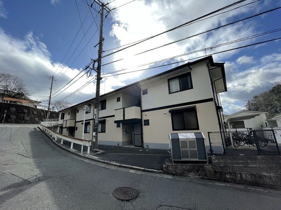 チャイブの外観画像