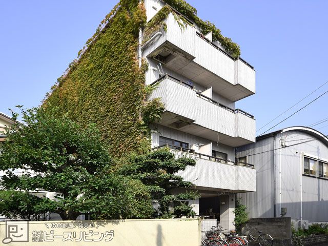 シティハイツ助任の外観画像