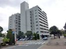 天神ロイアルハイツの外観画像