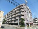 ベルジュ成子坂の外観画像