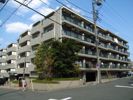 ピアチェーレ宮前平の外観画像