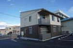 セルシャンプBの外観画像