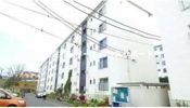 杉田大谷団地7号棟の外観画像