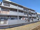 カサベルデ桜街道の外観画像