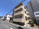 Palazzo Hashimoto 1stの外観画像