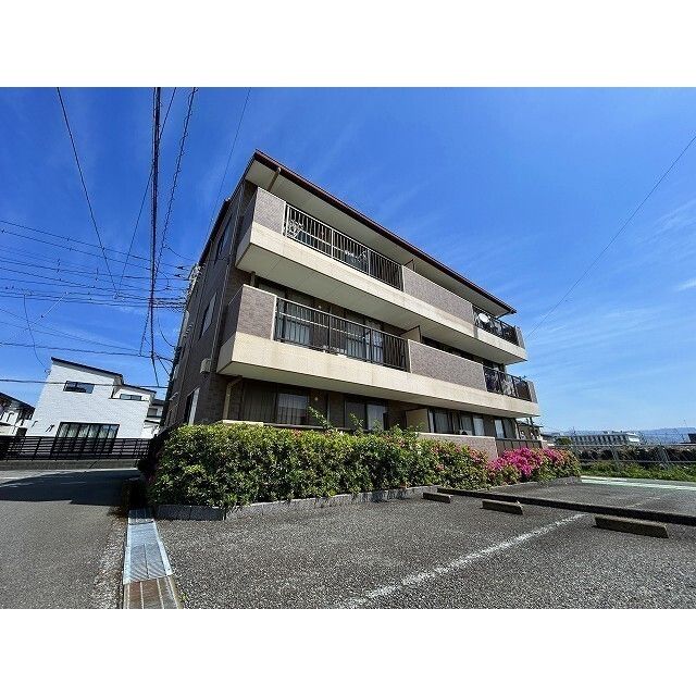 ロイヤルパレス湯川の外観画像