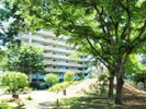 URひばりが丘パークヒルズ6-8号棟503の外観画像