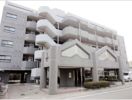 ナイスアーバン井野の外観画像