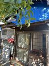 汐入4丁目 平屋の外観画像