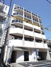 イフ キャット藤崎の外観画像