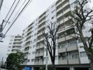 マンションニュー目黒 313号の外観画像