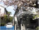 カルミアコーツの外観画像
