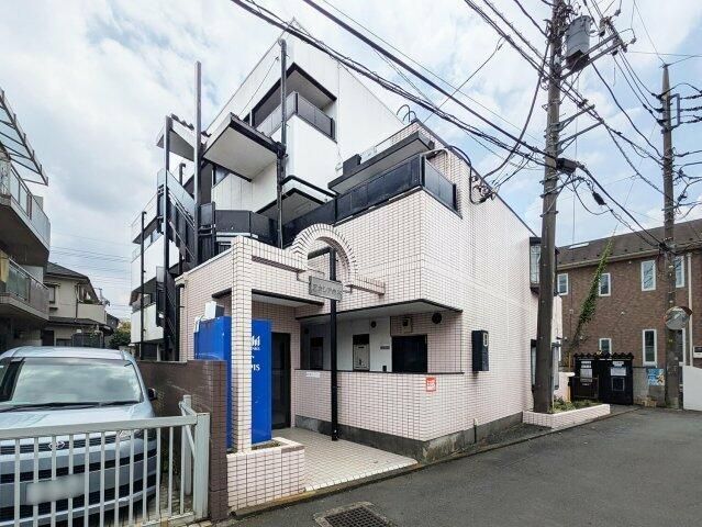 アカシアの木の外観画像