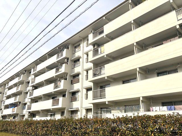 藤の木団地1号棟の外観画像