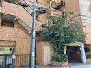 ライオンズマンション元町の外観画像