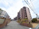サーパス保田窪 いい部屋ネット熊本北店が提供する賃貸マンションの外観画像