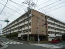 福岡高宮マンションの外観画像