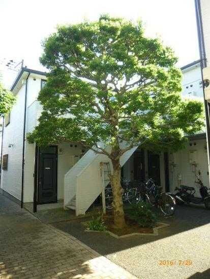 ヴェール白鷺の外観画像