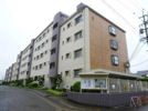 幸心東住宅1号棟の外観画像
