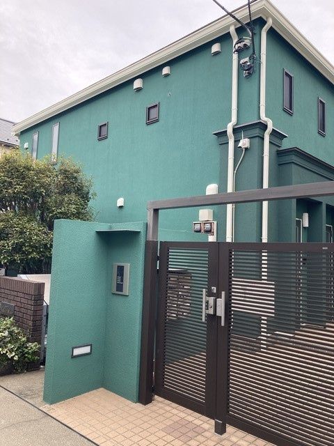 マグノリア ステラータ マキシマの外観画像