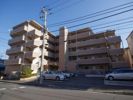 朝日プラザ弘明寺の外観画像