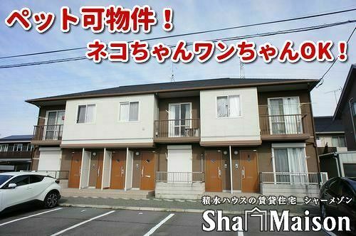 ウィルコートの外観画像