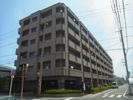 アルファステイツ新保の外観画像