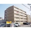 キャッスル熊本駅西 弐番館の外観画像