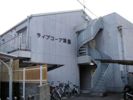 ライブコープ津島の外観画像