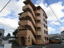 オリーブ住吉の外観画像
